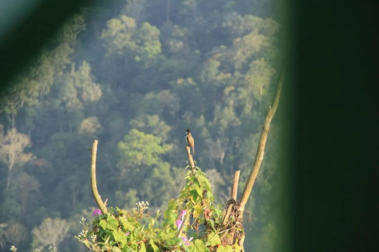 The Spot Inn 0*, Munnar